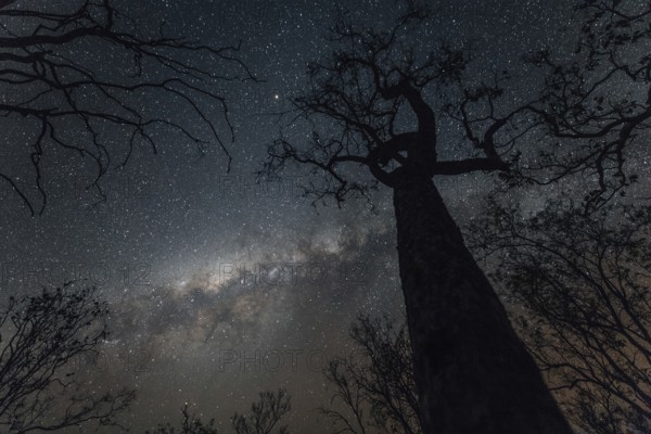 Milky Way Australian Outback, Australia