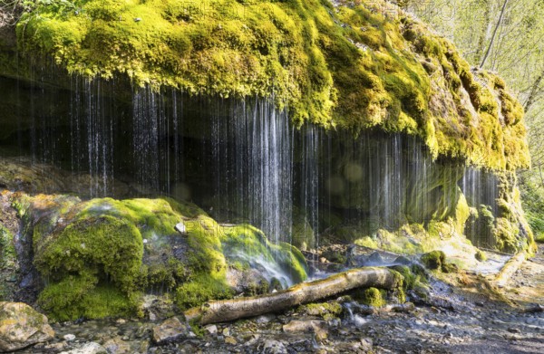 Dietfurt Waterfall, a moss waterfall in the Wutach Gorge, Black Forest, Baden-Württemberg, Germany