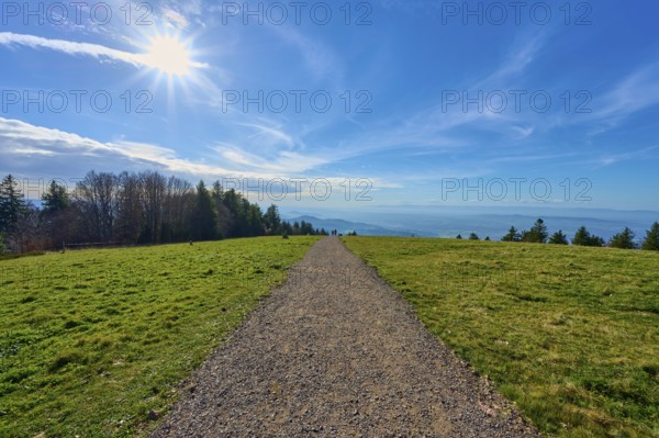 Kandel Höhenweg through a green meadow under bright sunshine with a wide view, Kandel, Waldkirch, Black Forest, Baden-Württemberg, Germany
