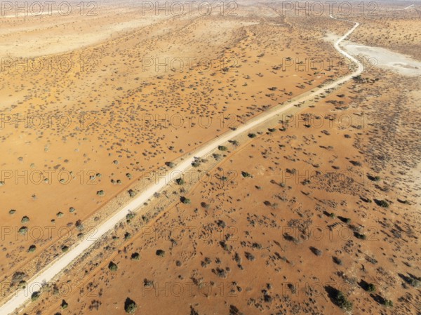 Gravel road in the Kalahari Desert with its linear sand dunes grown with camelthorn trees (Vachellia erioloba). Aerial view. Drone shot. Namibia