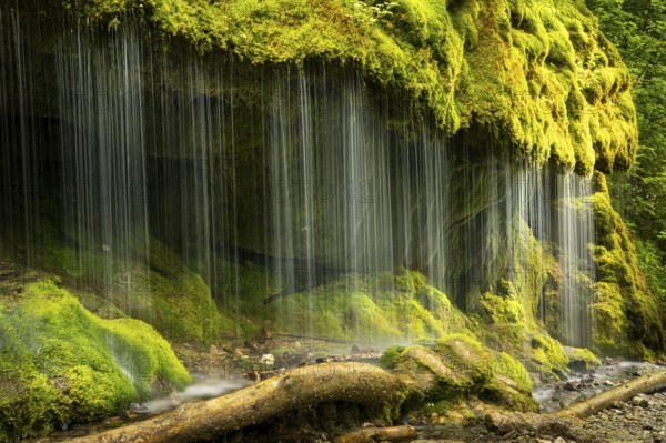 The Dietfurt waterfall, moss and stones, long exposure, Wutach Gorge, Black Forest, Baden-Württemberg, Germany