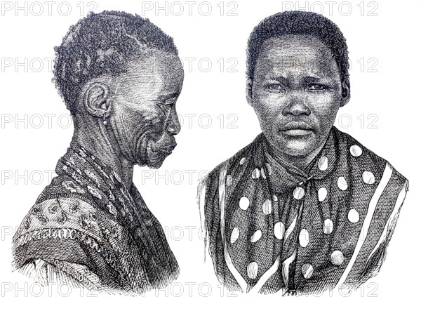 Types of the Ottentots. Collective term for the Khoikhoi family of peoples living in present-day South Africa and Namibia, which includes the Nama, Korana and Griqua, 1888, Historical, digitally enhanced reproduction of a 19th century model