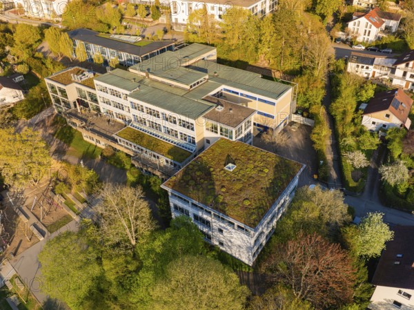 Modern building with green roof, surrounded by trees in an urban environment, Nagold, Black Forest, Germany