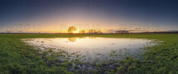 View of a puddle on a meadow at sunset, landscape photo, nature photo, flora, fauna, landscape format, panorama, pasture, grasses, lowland, sky, clouds, backlight, Neustadt am Rübenberge, Hanover region, Lower Saxony, Germany