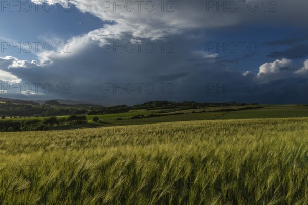 Dramatic cloudy sky with approaching storm and last rays of sunshine, Frankenhain, dark cloud wall, cumulonimbus clouds, thunderstorm in the lift, low mountain landscape, agriculture, forest, grain field, backlight shot, municipality Berkatal, Werra-Meissner-Kreis, Hesse, Germany