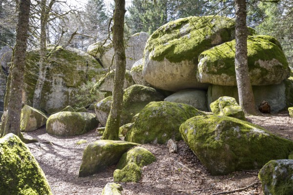 Granite rock Günterfelsen near the source of the Danube, Furtwangen in the Black Forest, Baden-Württemberg, Germany
