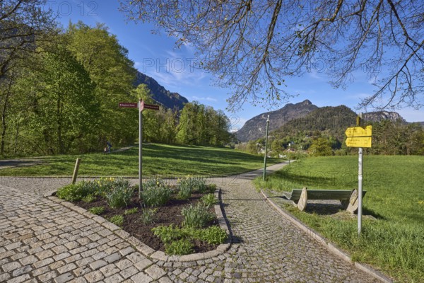 Mountain landscape, mountains, hills, forest, footpath, cobblestones, signposts, flowerbed, trees, lawn, benches, blue sky, cirrostratus clouds, Pfannhauserweg, Bad Reichenhall, Berchtesgadener Land district, Bavaria, Germany