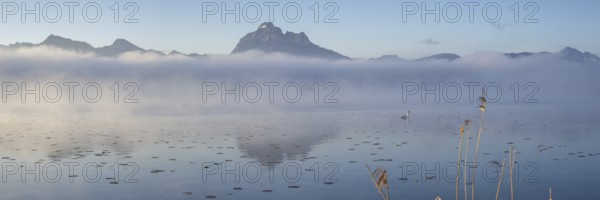 Sunrise at Lake Hopfensee near Füssen, with the Tegelberg massif and the Säuling behind it, Ostallgäu, Allgäu, Upper Swabia, Swabia, Bavaria, Germany