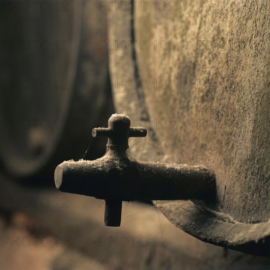 Inside an ancient winery cellar in France, a worn wine barrel stands prominently. Dust coats the wood, highlighting the aging process of fine wine. The atmosphere is rich with history and tradition