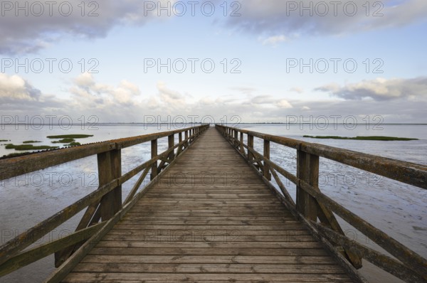 Wooden walkway in the Wadden Sea, Wadden Sea National Park, North Frisia, Schleswig-Holstein, Germany