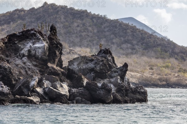 Coast, Galapagos, Ecuador