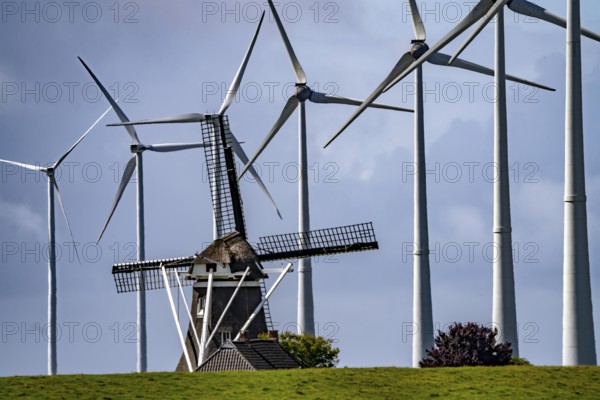 Westereems and Growind wind farms, over 80 wind turbines in total, at the Eemshaven seaport, province of Groningen, in the north-west of the Netherlands, historic Goliath windmill from 1897