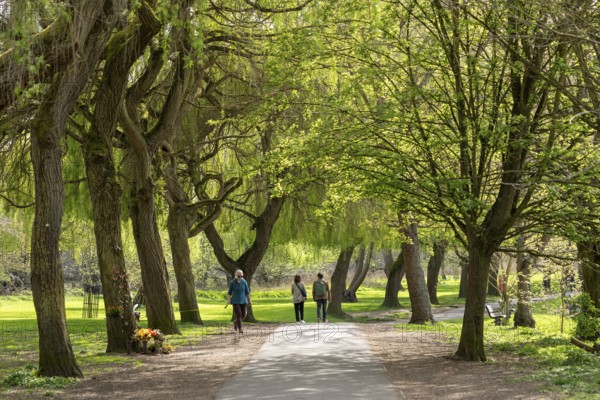 Riverside Heritage Trail, Stratford-upon-Avon, Warwickshire, England, United Kingdom