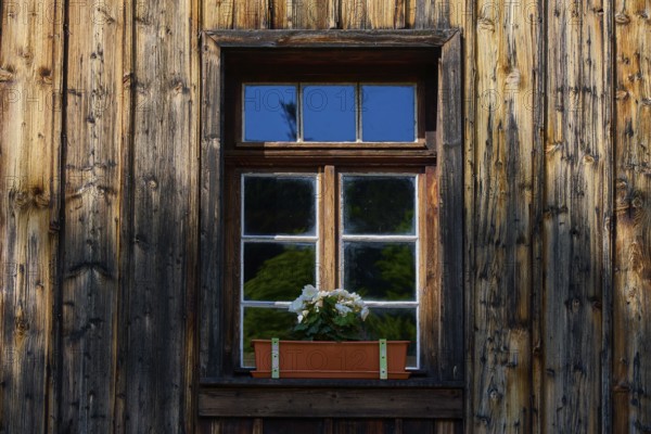 Rustic wooden window with flower box in a play of light and shadow, Triberg im Schwarzwald, Schwarzwald-Baar-Kreis, Black Forest, Baden-Württemberg, Germany