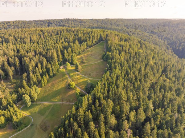 Overview of extensive slopes and forests in the soft light of day, Retro Freizeitpark Poppeltal Riesenrutschbahn, Enzklösterle, Black Forest, Germany