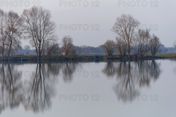 Evening mood at Moosinninger Weiher, quarry pond, fishing pond for carp, reflection of the trees on the shore, smooth calm water, Moosinning in Erdinger moss, Erding, Upper Bavaria, Bavaria, Germany