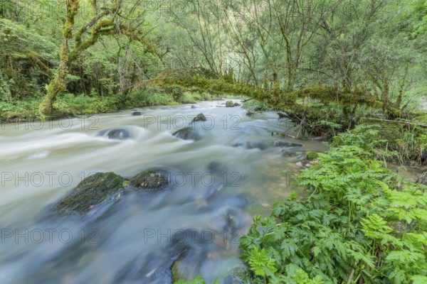 A river flows through a lively forest with smooth rocks that are partially submerged in the water. The sunlight filters through the trees and creates a peaceful atmosphere in the natural surroundings. Jura, France