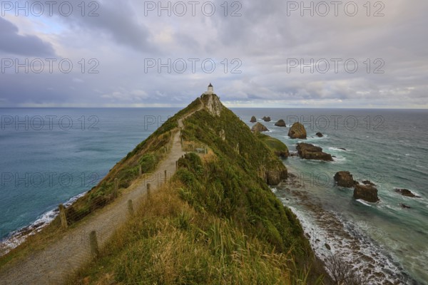 A lonely lighthouse on a green headland, surrounded by rocks in the sea, summer, Nugget Point Lighthouse, Ahuriri Flat, Otago, South Island, New Zealand