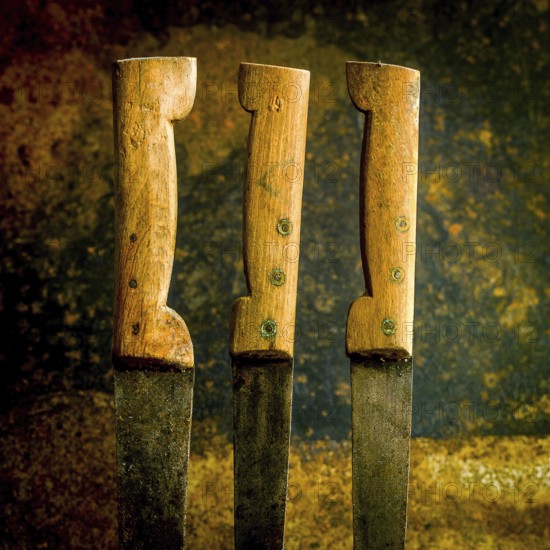 Three old, rusty kitchen knives with unevenly worn wooden handles rest against a textured backdrop. Their age and patina tell a story of many meals prepared over time