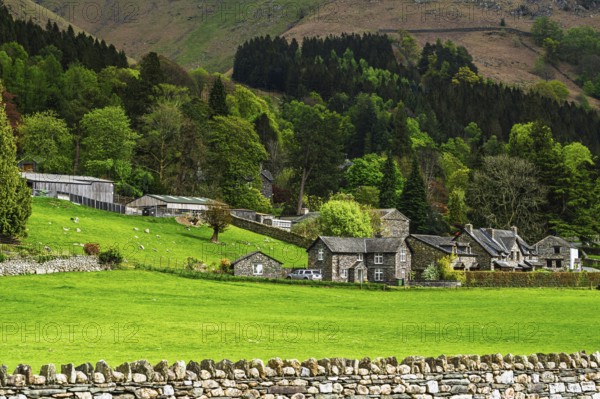 Grasmere Lake, Grasmere, Ambleside, Lake District, Westmorland, Cumbria, England, United Kingdom