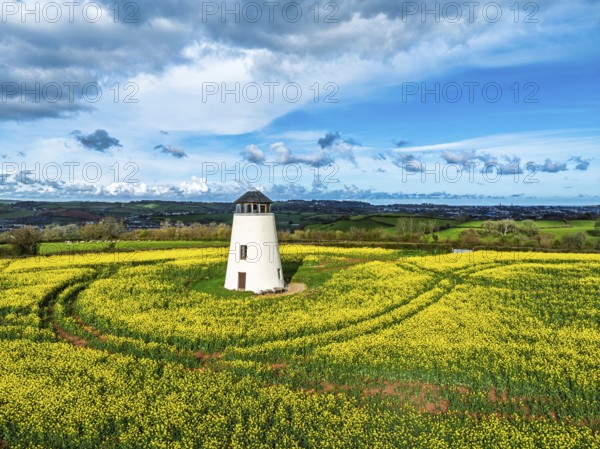 Rapeseed fields and Farms over Devon Windmill from a drone, Torquay, Devon, England, United Kingdom
