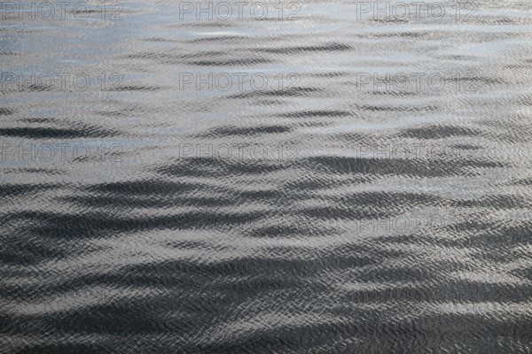 Small waves, sea, sea surface, Baltic Sea