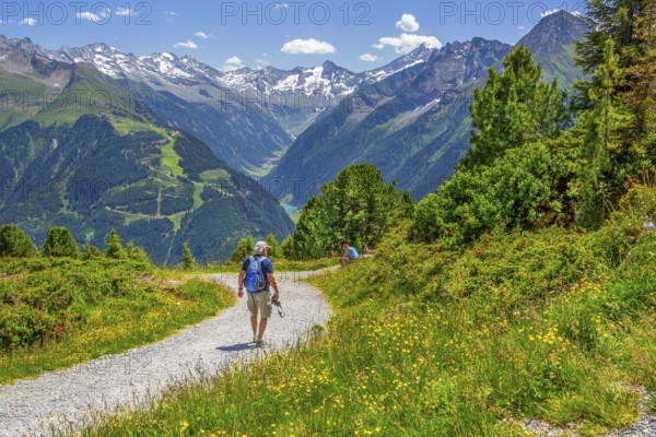 Hiking trail on the Penken with a view of the Stilluptal, Mayrhofen, Zillertal, Zillertal Alps, Tyrol, Austria