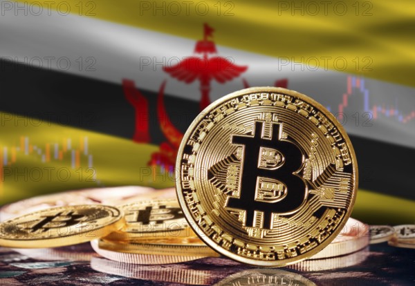 Bitcoin with Brunei flag in the background. Investors in cryptocurrency and Blockchain Technology in Brunei, Concept