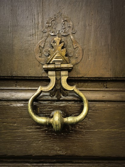 This striking door knocker blends vintage charm with intricate design, placed on a weathered wooden door. It reflects a sense of history and craftsmanship