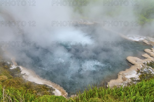 Steaming hot spring with blue water surrounded by green vegetation and rocks, Te Manaroa Spring, hot spring, Waikite Valley, Bay of Plenty, North Island, New Zealand