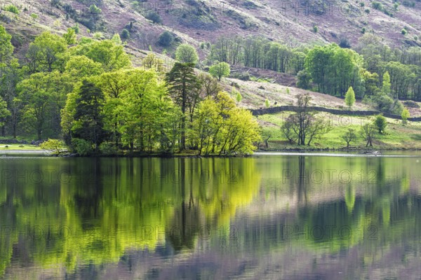 Rydal Water, Rydal, Ambleside, Lake District, Westmorland, Cumbria, England, United Kingdom