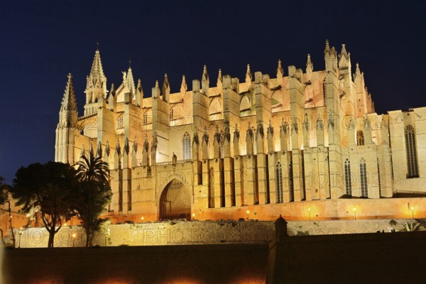 La Seu Cathedral or Cathedral of St Mary, night shot, Palma de Majorca, Majorca, Balearic Islands, Spain