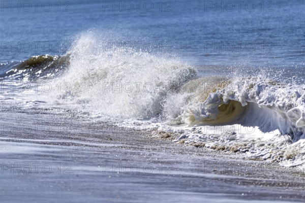Wave, Wenningstedt-Braderup, North Sea, Schleswig-Holstein