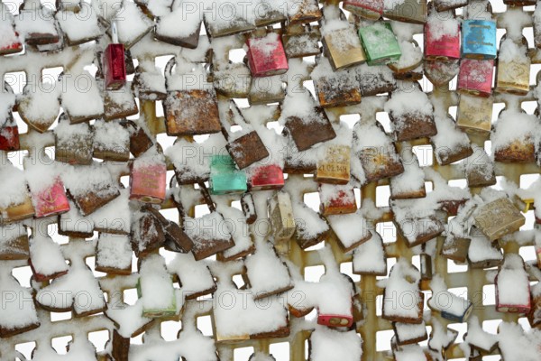 Lattice with snow-covered love locks, North Sea, Norddeich, Lower Saxony, Germany