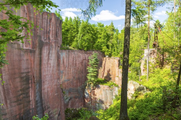 On the porphyry nature trail, Gleisberg quarry with number wall, historic quarries on the Rochlitzer Berg, Rochlitz, Saxony, Germany