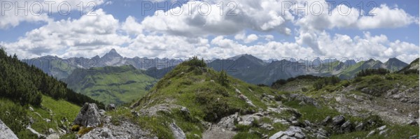 Mountain panorama from the Koblat high trail on the Nebelhorn over the Obertal valley with lush green alpine meadows to the Hochvogel and Rosszahn group with the Hochvogel, 2592m, Allgäu Alps, Allgäu, Bavaria, Germany