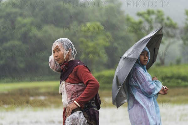Tribal women stands with umbrella during a heavy rain in Golapara, India on 31 May 2025