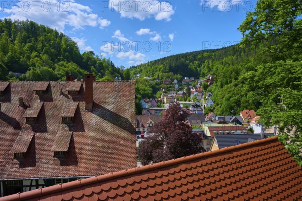 View of a village with red roofs, surrounded by green hills and forests, Triberg im Schwarzwald, Schwarzwald-Baar-Kreis, Black Forest, Baden-Württemberg, Germany
