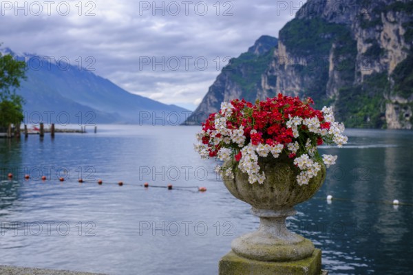 Flower amphora, Punta Lido, promenade, spa gardens, Riva del Garda, Lake Garda, Trentino, Trentino-Alto Adige, IItaly
