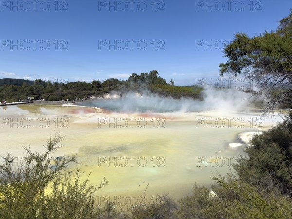 Champagne Pool at the Waiotapu Thermal Track in the colourful geothermal area of Waiotapu Thermal Wonderland, North Island, New Zealand, Oceania