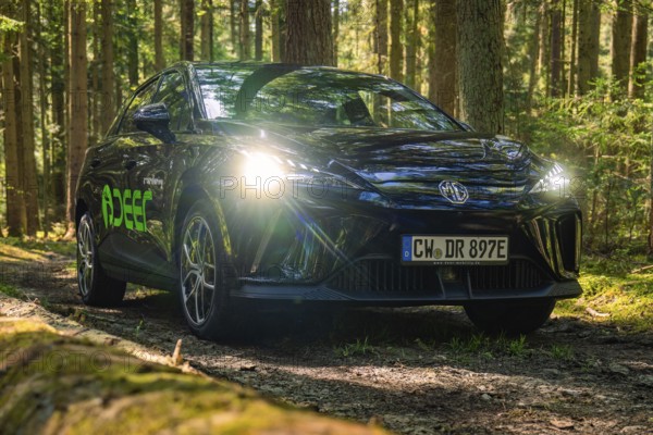 Close-up of a black car on a shady forest path, surrounded by trees, Deer E- Carsharing, Calw, Black Forest, Germany