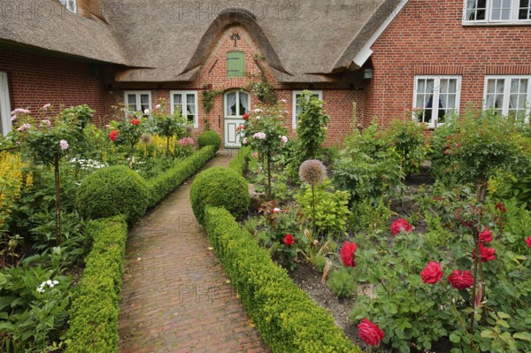 Thatched house with front garden, St. Peter-Ording, Eiderstedt peninsula, North Frisia, Schleswig-Holstein, Germany