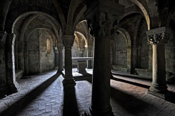 Vault, backlit altar between columns, underground grove of columns, pagan crypt, 10th century, gloomy lighting, dramatic, Cathedral of Acquapendente, Basilica of the Holy Sepulchre, Basilica Santo Sepolcro, Basilica minor, Aquapendente, Province of Viterbo, Lazio, Italy