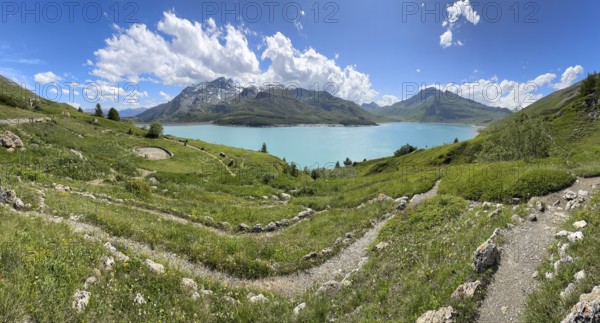 Panoramic view of Jardin Alpin in the foreground, Lac du Mont Cenis reservoir behind, Mont Cenis massif, Massif du Mont-Cenis, Graian Alps, Lanslebourg, Rhone-Alpes, France