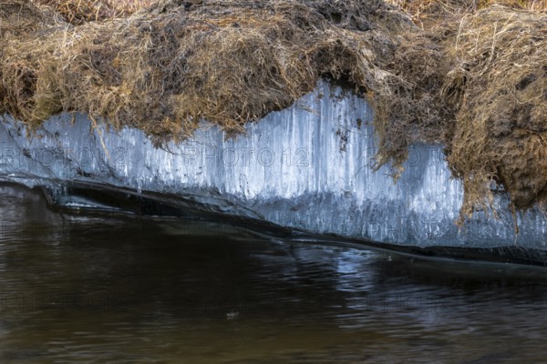 Permafrost, ice below the surface, Aventdalen, Longyearbyen, Spitsbergen, Svalbard