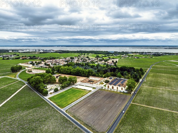 Chateau d'Armailhac Vineyard and grape fields around Pauillac and Gironde Estuary from a drone, Bordeaux, Gironde, Nouvelle-Aquitaine, France
