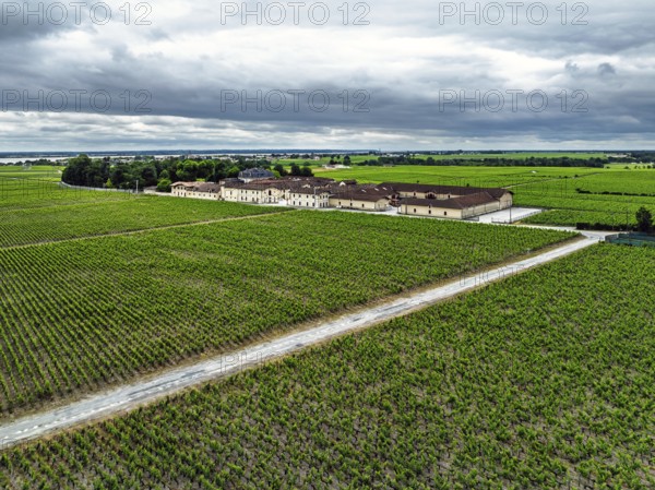 Chateau Pontet-Canet Vineyard and grape fields around Pauillac and Gironde Estuary from a drone, Bordeaux, Gironde, Nouvelle-Aquitaine, France
