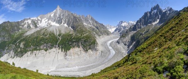 Panorama, Picturesque mountain landscape with blooming alpine roses, imposing mountain peaks and glaciers, Grand Balcon Nord, glacier tongue Mer de Glace, behind Grandes Jorasses, Mont Blanc massif, Montenvers, Chamonix, Haute-Savoie, France