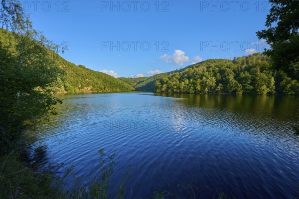 Peaceful lake surrounded by green hills under a clear sky, slight reflection in the water, summer, Rursee, Obersee, Simmerath, Eifel National Park, North Rhine-Westphalia, Germany