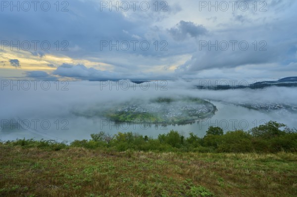 River island in the mist and twilight, surrounded by mystical clouds, summer, Rhine bend Boppard, Gedeonseck, Boppard, Rhine, Rhine-Hunsrück district, Rhineland-Palatinate, Germany